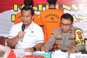 Polres Sanggau Tangkap Pelaku Penjualan Puluhan Kilogram Sisik Trenggiling, ME dan FA Terancam 5 Tahun Penjara